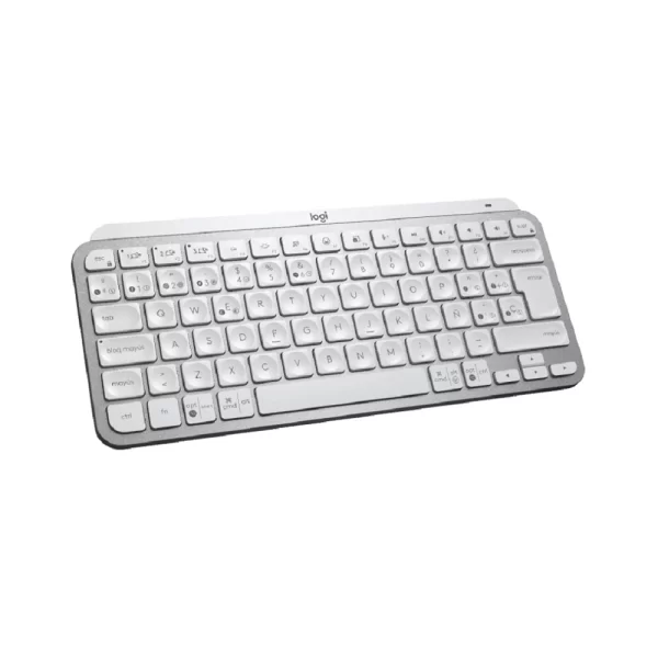 Teclado Logitech Mx Keys Mini Wireless Gris (920-010477)